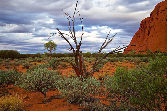 Uluru