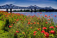 Natchez
