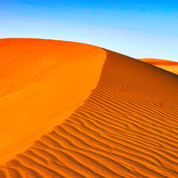 Namib Reserve #1