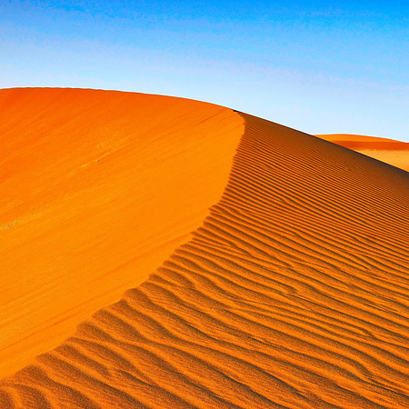 Namib Reserve #1