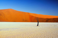 Deadvlei #1