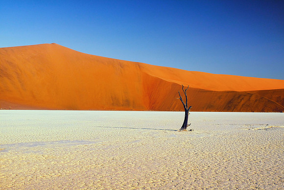 Deadvlei #1