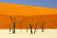 Deadvlei #4