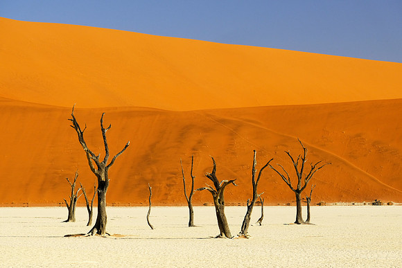 Deadvlei #4