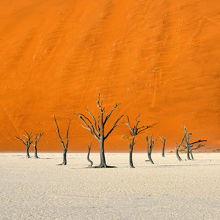 Deadvlei #5