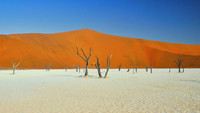 Deadvlei #3