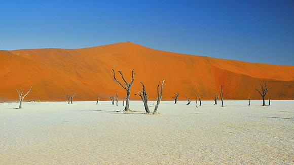 Deadvlei #3