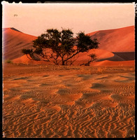 NamibRand Nature Reserve