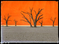 Deadvlei