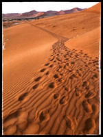 Trekking