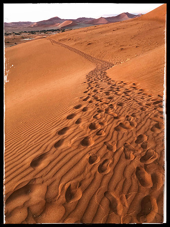 Trekking