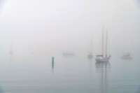The Fog Rolls In #1