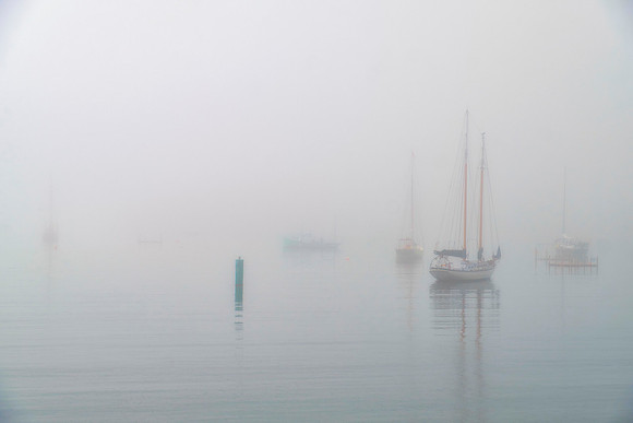 The Fog Rolls In #1