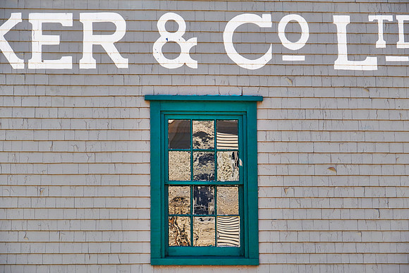 Window #3