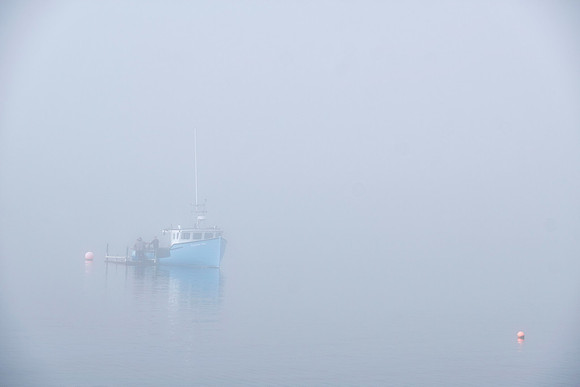 The Fog Rolls In #2