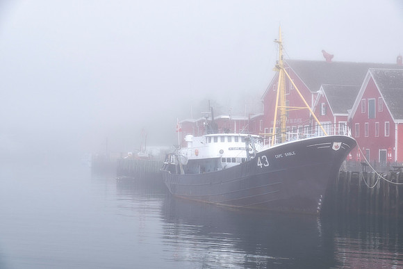 The Fog Rolls In #3
