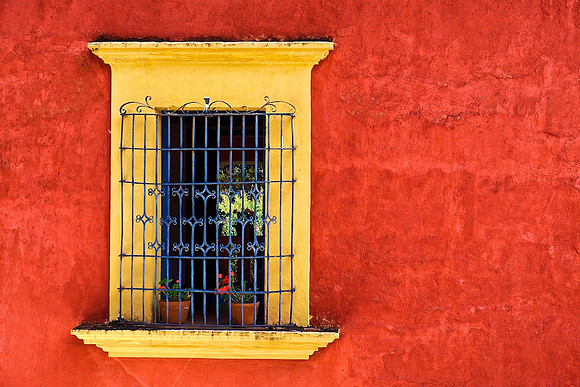 Yellow Window