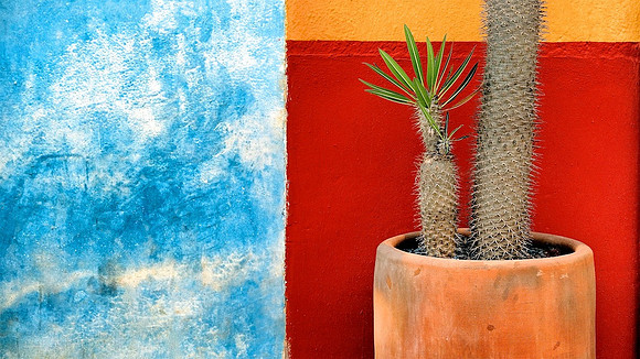 Potted