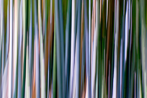 Bend with the Wind