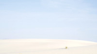 Dunescape #4