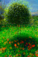 Spring Has Sprung
