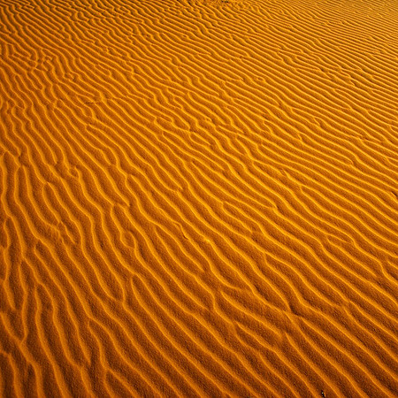 Dunescape #2