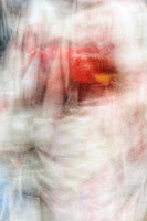 Geisha's Abstracted