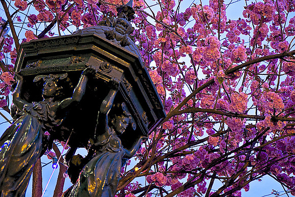 Wallace Fountain #2