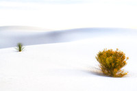 Dunescape #1