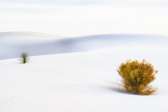 Dunescape #1