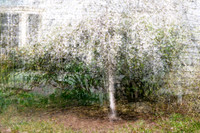 White on White
