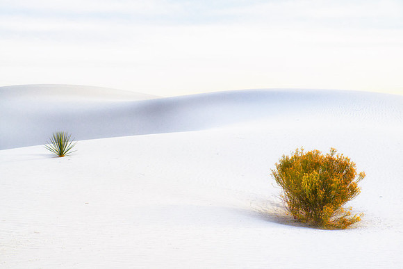 "DUNESCAPE #1"