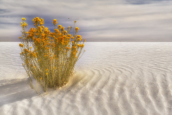 "DUNESCAPE #2"