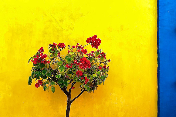 "PRIMARY COLORS"