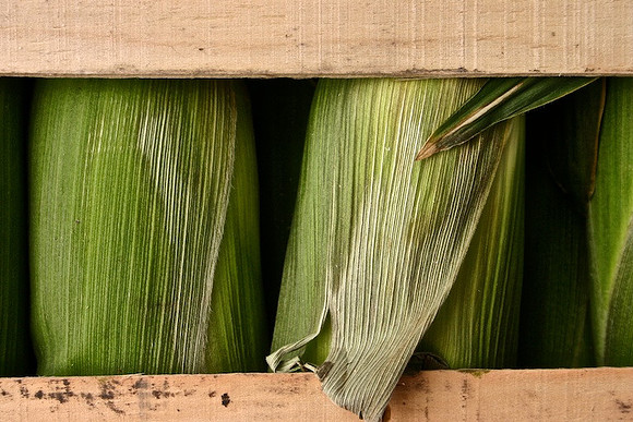 corn, food