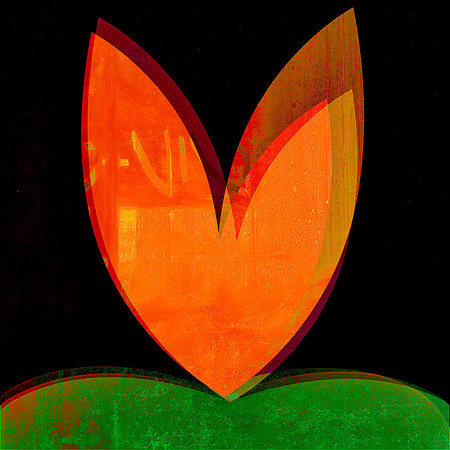 An Apple A Day No. 29