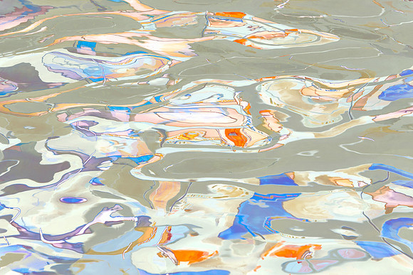 Vineyard Reflections